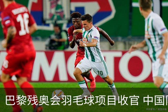巴黎残奥会羽毛球项目收官 中国队斩获9金2银1铜
